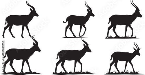 Set of six black antelope silhouettes walking in different positions