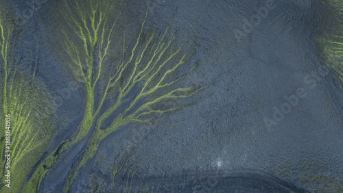 Aerial shot of lichen structures on the black sand creating tree like patterns, Highlands, Iceland