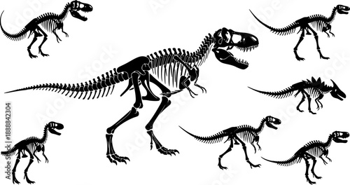 Collection of dinosaur skeleton silhouettes, Tyrannosaurus rex fossil bones vector illustration,
