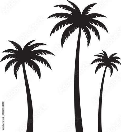  set of palm trees, palm, tree, tropical, vector, silhouette, beach, nature, leaf, illustration, summer, coconut, palm tree, island, plant, design, travel, pattern, sea, sun, palms, branch, palmtree