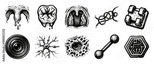 Vintage Stipple Engraving Biological and Cybernetic Element Kit for Dark Academic Science and Biohacking Aesthetics