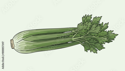 Fresh green organic celery stalk with vibrant leaves isolated on a light green background for healthy eating and nutrition concepts.