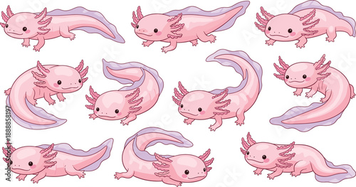 Cute cartoon axolotl characters set. Pink aquatic salamanders in different poses and movements. Flat vector illustration for kids design, stickers, apps and nursery themes.