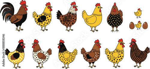 Cute cartoon farm chicken set. Roosters, hens, chicks and eggs in different colors and patterns. Flat vector illustration for kids design, stickers, education and farm themes.