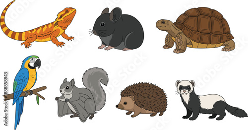 Cute cartoon exotic animals set. Lizard, mouse, tortoise, parrot, bat, hedgehog and ferret. Flat vector illustration for kids design, education, stickers and apps.