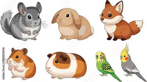 Cute cartoon pet animals set. Chinchilla, rabbit, fox, hamster, guinea pig and birds. Flat vector illustration for kids design, stickers, apps and education.