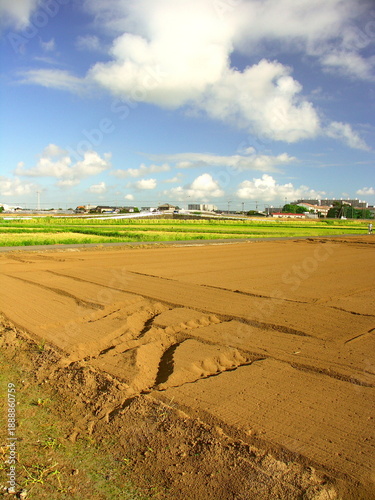 Wallpaper Mural 郊外の耕作された初秋の畑風景 Torontodigital.ca
