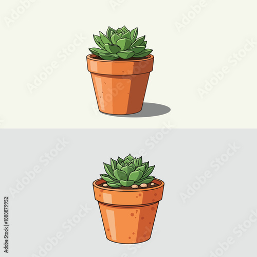 Green succulent plant in terracotta pot simple illustration for home decor and gardening concepts isolated on light and grey backgrounds