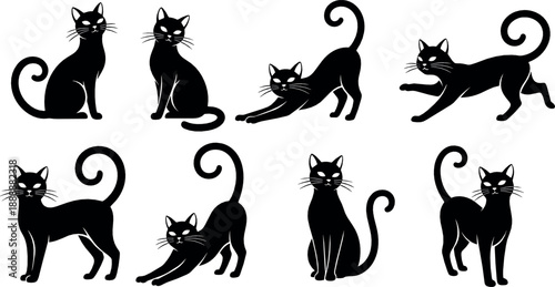 Black cat silhouette vector set with playful and stretching poses, cute feline collection, Halloween and pet themed illustration