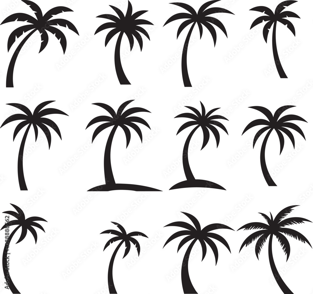 Fototapeta premium set of palm trees, palm,