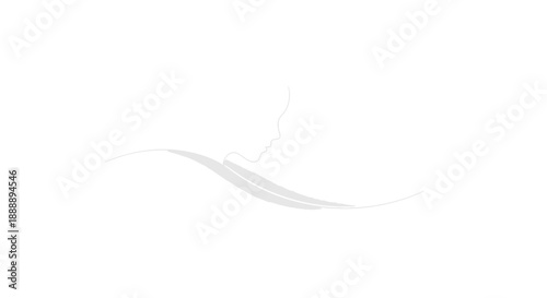 Feather on White Background.