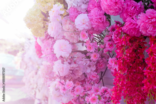 pink and white lilac flowers