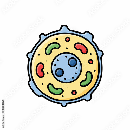 Cell Structure Cartoon