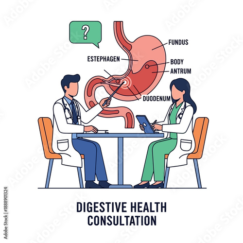 Doctors Discussing Digestive Health and Stomach Anatomy in Consultation