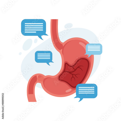 Human Stomach Anatomy with Speech Bubbles - Digestive System Communication Concept