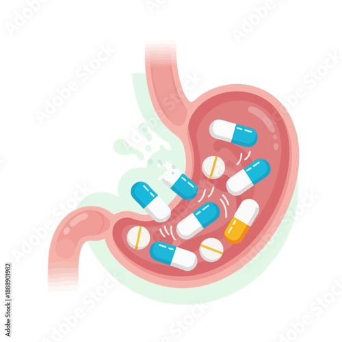 Stomach with pills and capsules, healthcare and medicine concept illustration