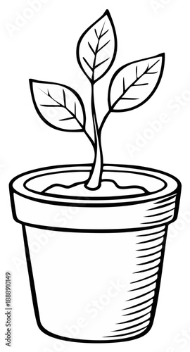 Line art drawing of a young plant with three leaves growing in a pot