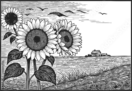 Rustic sunflower field with farmhouse in distance vintage countryside landscape with birds flying over crops