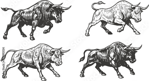 Illustrations of powerful bulls in different dynamic poses and stances, strong wild animals