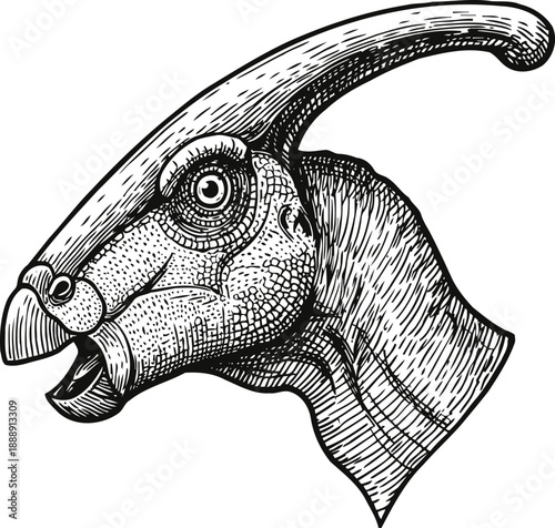 Detailed black and white sketch of a parasaurolophus dinosaur head with distinctive crest