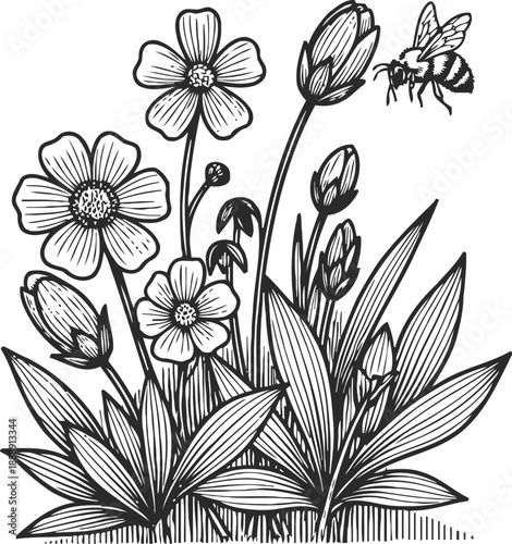 Wild flowers and bee sketch hand drawn floral illustration with blooming garden plants and flying insect nature scene