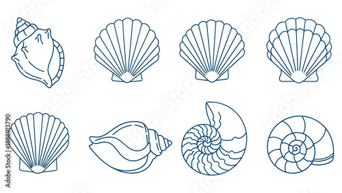 Collection of Various Seashells and Conch Shells in Outline Style.