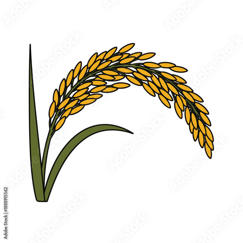 Ripe Golden Rice Panicle Illustration. Simple Vector Icon of Cereal Grain Stalk for Agriculture, Food, and Harvest Design.