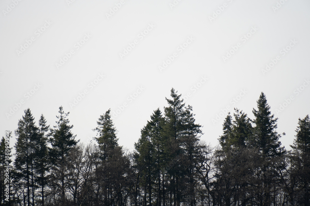 Obraz premium Region Teutoburger Wald