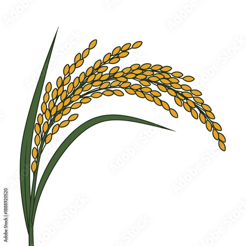 Golden Rice Grain Ear Stalk Vector Illustration. Harvest, Farming, and Agriculture Icon isolated on white background.