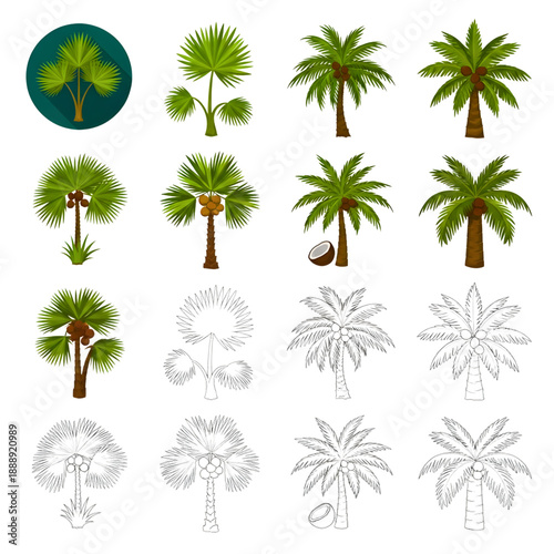 Wallpaper Mural Ultimate Nature Vector Mega Bundle: Diverse Tropical Palms, Coconut and Banana Trees, Majestic Banyan Roots, and Forest Silhouettes Torontodigital.ca