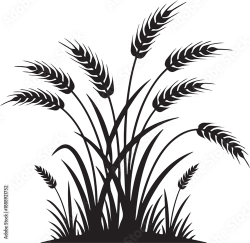Wheat Ears Silhouette Icon. Cereal Grain Black and White Illustration.