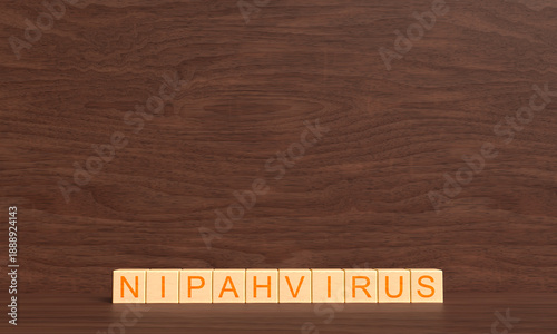 Bilde på lerret Nipah virus text font cube block wooden square nipah virus disease science epide