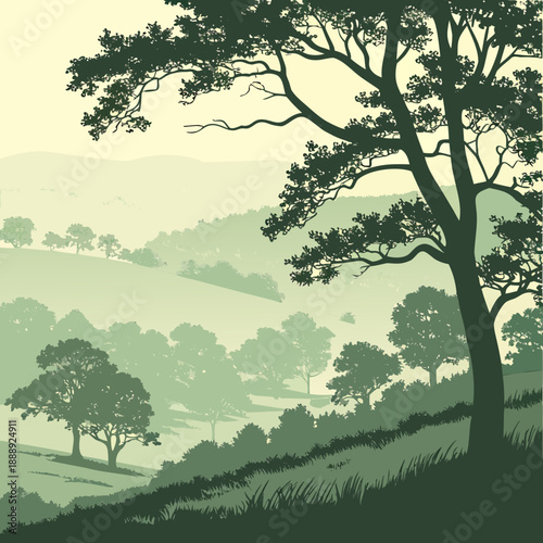 Misty forest valley landscape, serene and clean vector illustration, atmospheric and mysterious.
