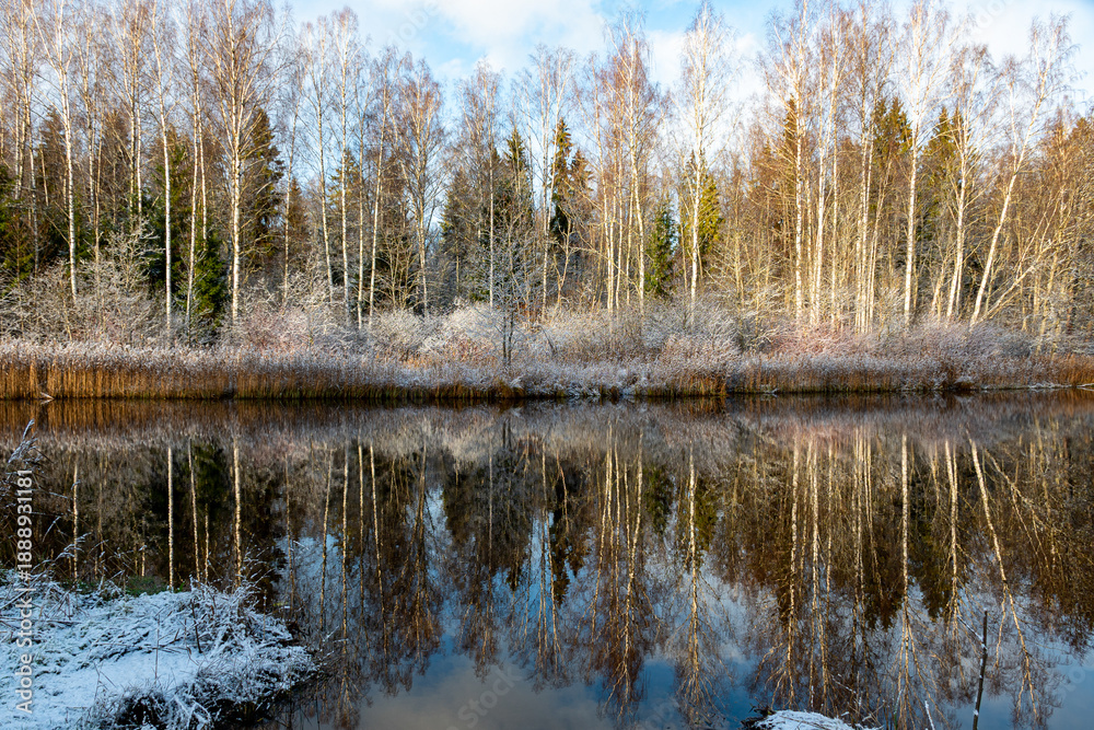 Fototapeta premium landscape with a lake in late autumn, blue sky, reflections in the water
