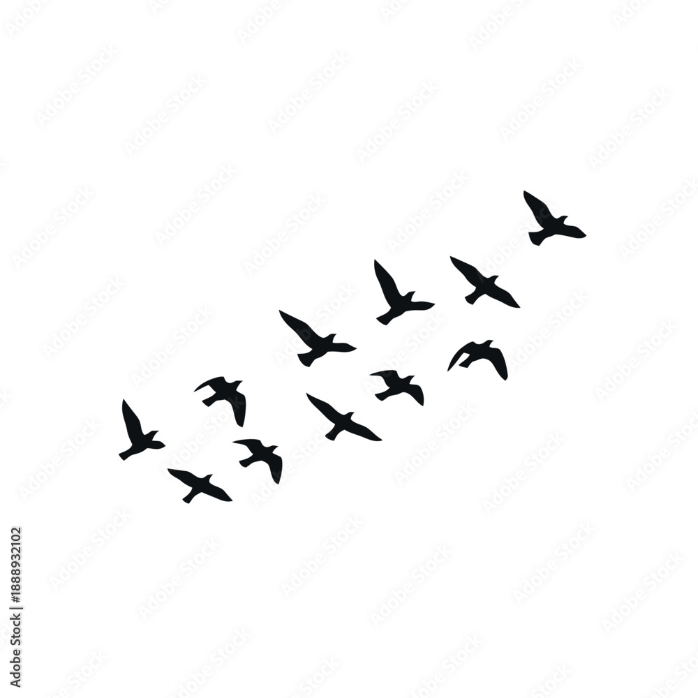 Fototapeta premium birds in flight