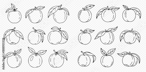 Set of hand-drawn apple illustrations with leaves, isolated on a transparent background, perfect for healthy food designs and organic product branding.
