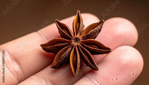 Close Up Of A Human Hand Holding A Single Star Anise Spice With Its Distinct Octagonal Shape And Brown Texture Against A Blurred Background