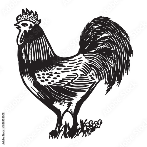 Hen silhouette vector isolated on a white background