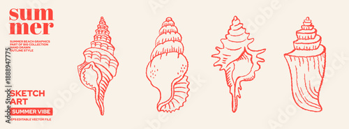 Shell and seashell line summer icon. Sea shell outline beach vector art. Brush, marker, crayon design illustration. Hand drawn sketch. Marine life doodle drawing. Retro set element. Coastal print bg
