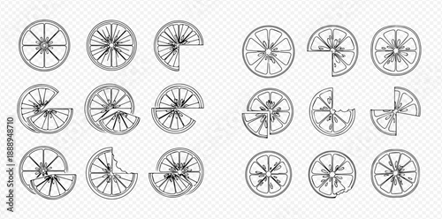 Set of hand-drawn lemon and orange slices with different parts missing, isolated vector illustration.