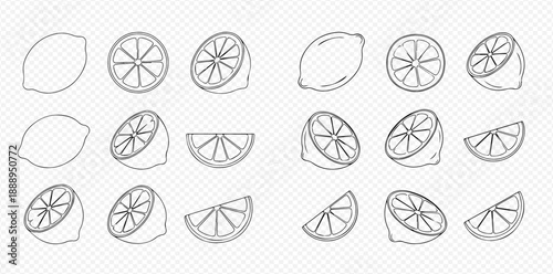 Outline vector illustration of fresh lemons, whole, half, and sliced, on a transparent background.