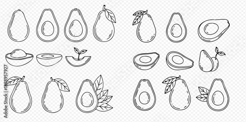 Set of hand-drawn avocado illustrations, whole and sliced, with leaves and pits, in a doodle style.