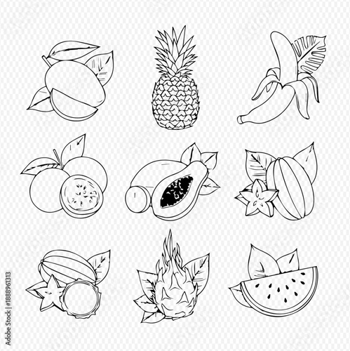 Set of hand-drawn tropical fruits, including mango, pineapple, banana, orange, papaya, star fruit, watermelon, and dragon fruit, in a line art style on a textured background.