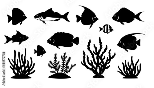 sea animals, fish, algae set silhouette ,on white background, vector
