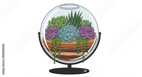 Detailed illustration of a round glass terrarium globe filled with various colorful succulents and string of pearls plant on a black stand.