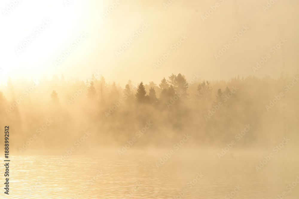 Fototapeta premium A fog on an autumn morning, Sainte-Apolline, Québec, Canada
