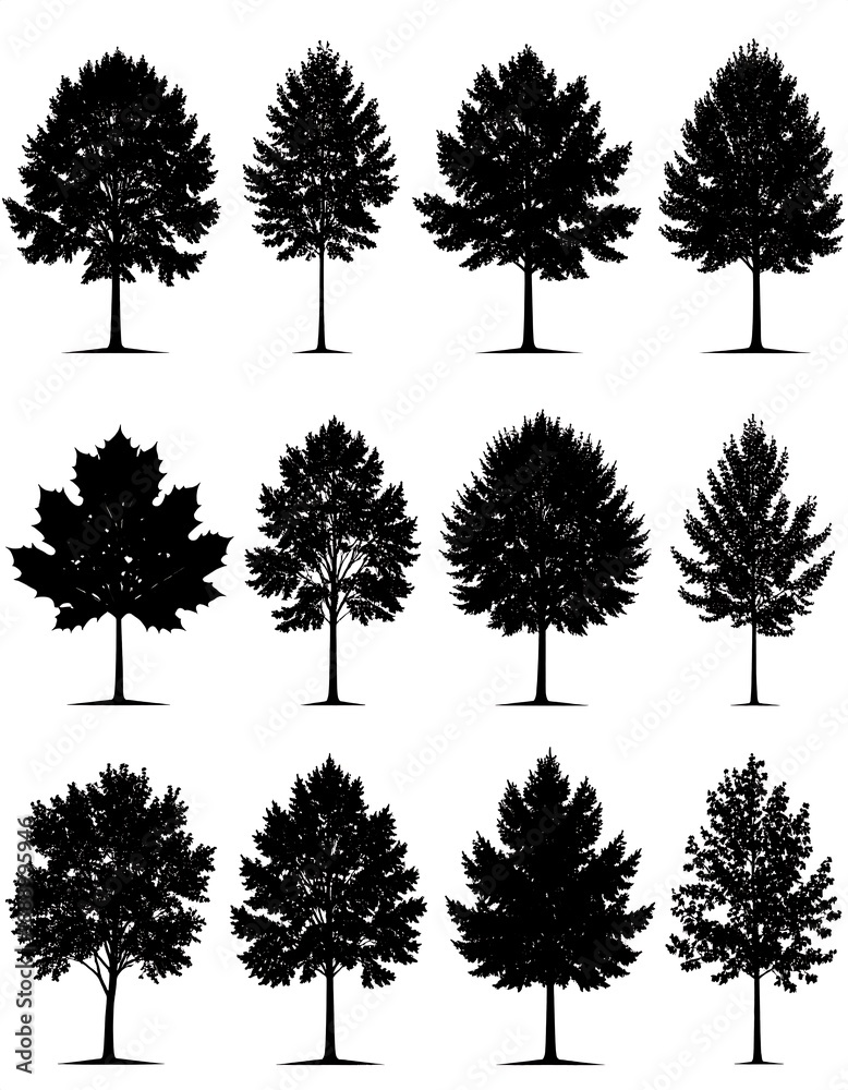 Fototapeta premium A set of silhouettes of different trees with various canopy shapes and sizes, depicted in black