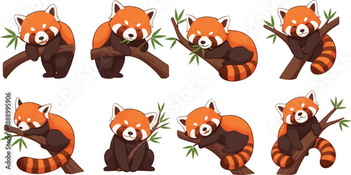 Cute red panda characters collection sitting sleeping and playing on tree branches cartoon vector illustration