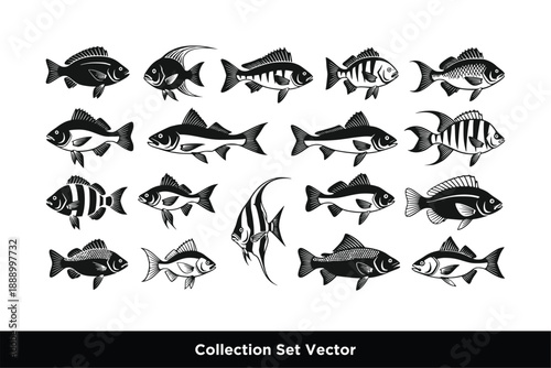 Various Fish Species Silhouette Collection