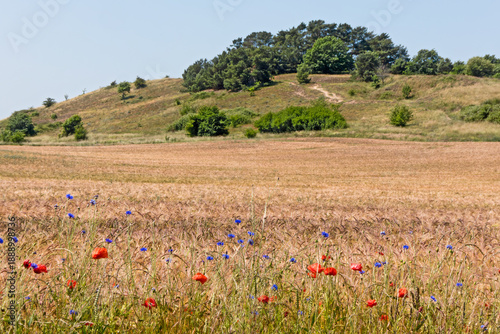 Foto ruhige Landschaft auf dem Mönchsgut, Insel Rügen